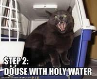 LOLcats