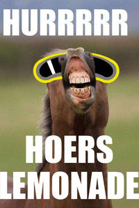 Amazing Horse