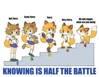 Furries