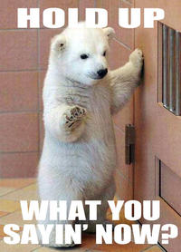 LOLcats