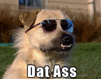 'Dat Ass