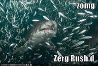 Zerg Rush