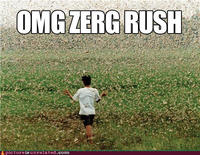 Zerg Rush