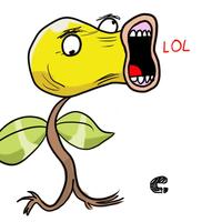 Lolsprout