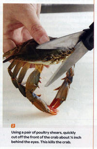 Sad Crab / This Kills The Crab