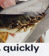 Sad Crab / This Kills The Crab
