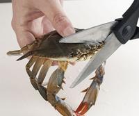 Sad Crab / This Kills The Crab