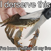 Sad Crab / This Kills The Crab
