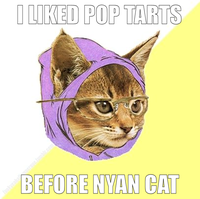 Hipster Kitty