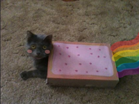 Nyan Cat / Pop Tart Cat