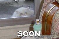 SOON