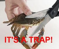Sad Crab / This Kills The Crab