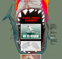 fyeahsharks.PNG