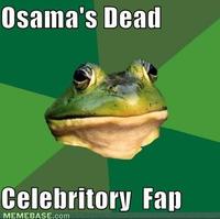 Osama Bin Laden's Death