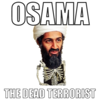 Osama Bin Laden's Death