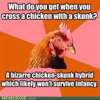 Anti-Joke Chicken