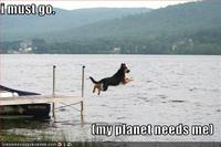 I Must Go
