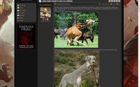 Man-Giraffe-Dog