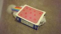 Nyan Cat / Pop Tart Cat
