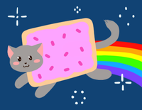 Nyan Cat / Pop Tart Cat