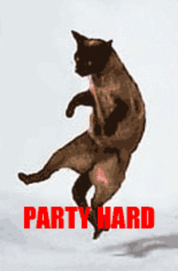 Party Hard