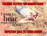 Instagram Quote Rebuttals / Hipster Edits