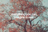 Instagram Quote Rebuttals / Hipster Edits