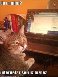 The Internet is Serious Business