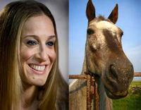 Sarah Jessica Parker Looks Like a Horse