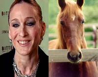 Sarah Jessica Parker Looks Like a Horse