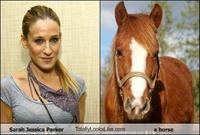 Sarah Jessica Parker Looks Like a Horse
