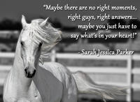 Sarah Jessica Parker Looks Like a Horse