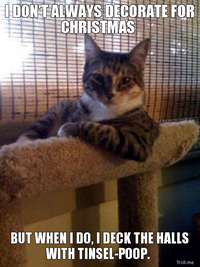 The Most Interesting Cat in the World