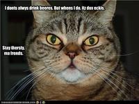 The Most Interesting Cat in the World