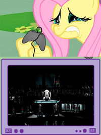 Fluttercry4