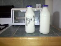 Milk Face