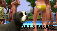 'Dat Ass