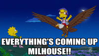 "Milhouse Is Not A Meme"