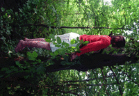 Planking
