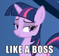 Like A Boss