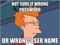 Futurama Fry / Not Sure If X