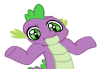 Pony Reactions