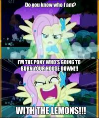 Flutterrage / Flutterbitch