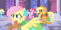 Flutterrage / Flutterbitch