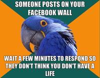 Paranoid Parrot