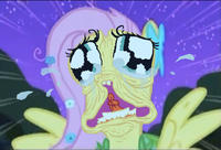 Flutterrage / Flutterbitch