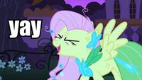 Flutterrage / Flutterbitch