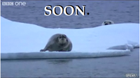 SOON