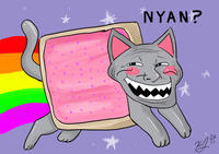 Nyan Cat / Pop Tart Cat