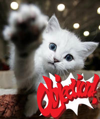 Objection!